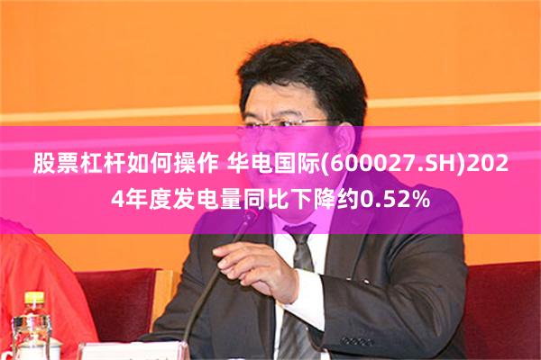 股票杠杆如何操作 华电国际(600027.SH)2024年度发电量同比下降约0.52%