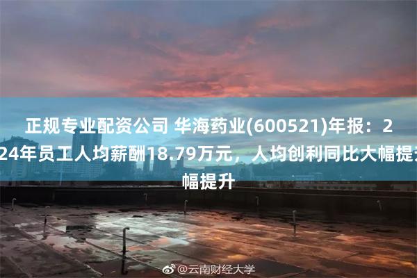 正规专业配资公司 华海药业(600521)年报：2024年员工人均薪酬18.79万元，人均创利同比大幅提升