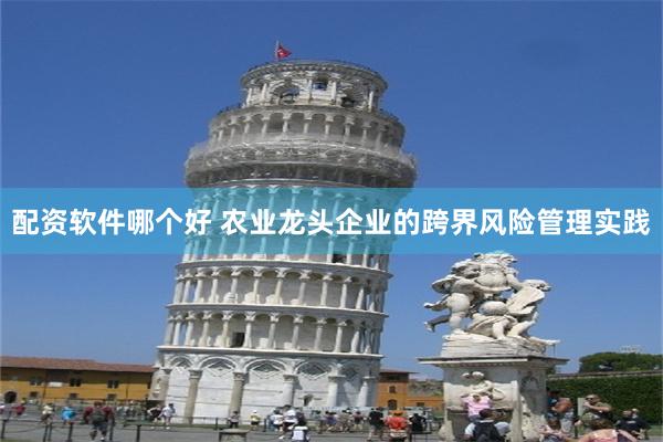 配资软件哪个好 农业龙头企业的跨界风险管理实践