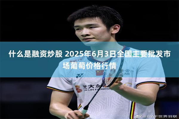 什么是融资炒股 2025年6月3日全国主要批发市场葡萄价格行情