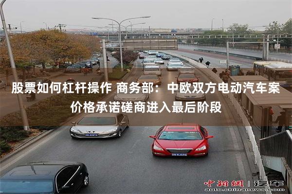 股票如何杠杆操作 商务部：中欧双方电动汽车案价格承诺磋商进入最后阶段
