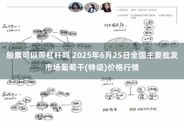 股票可以带杠杆吗 2025年6月25日全国主要批发市场葡萄干(特级)价格行情