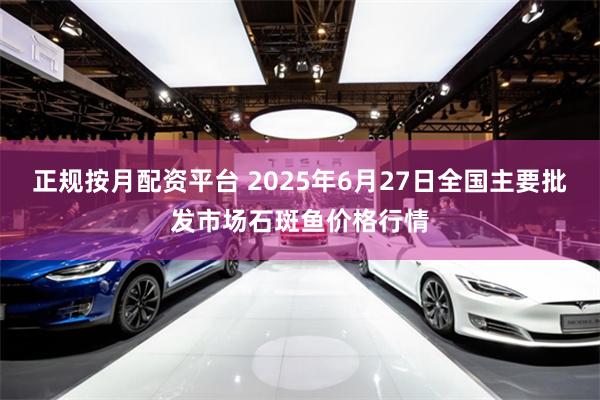 正规按月配资平台 2025年6月27日全国主要批发市场石斑鱼价格行情